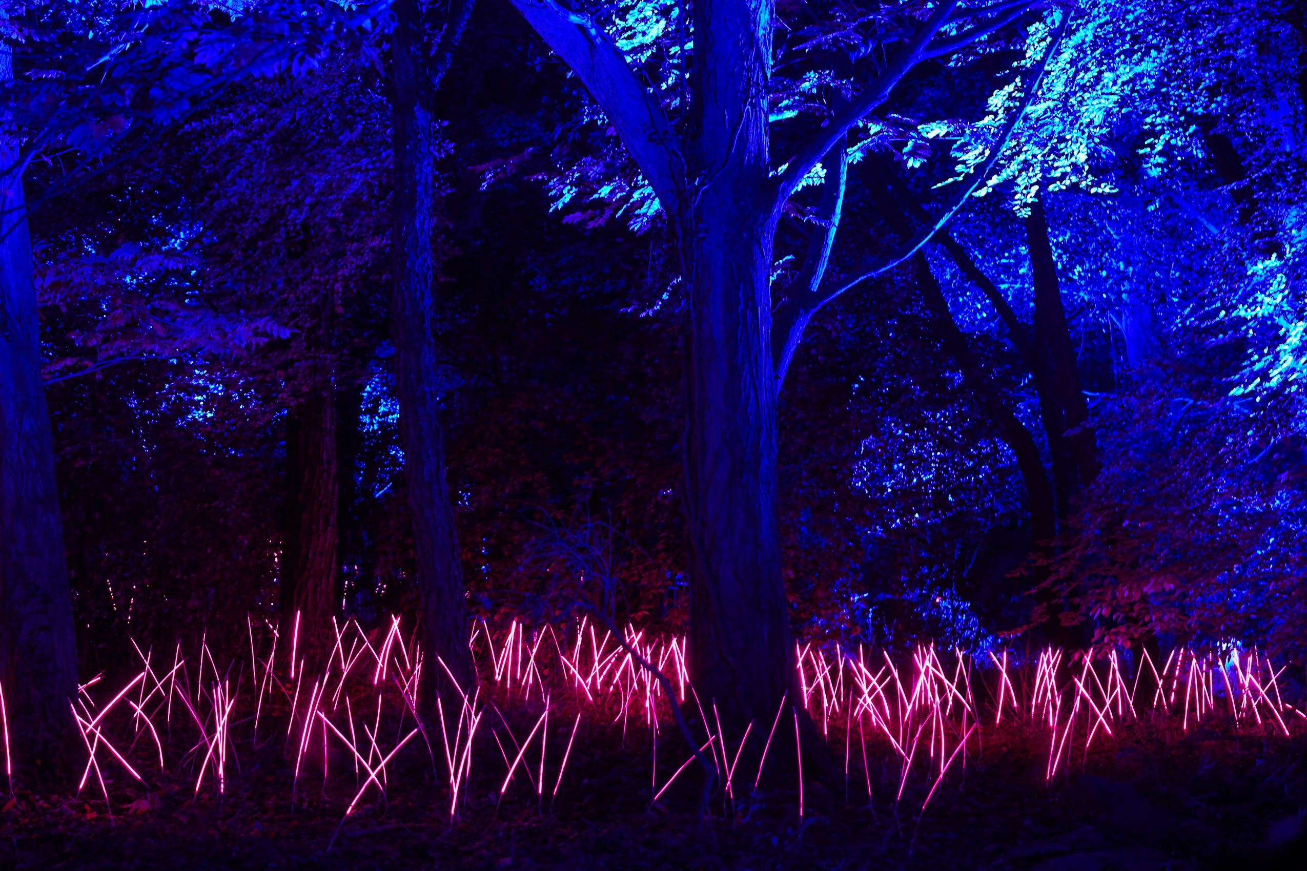 Een betoverend najaar