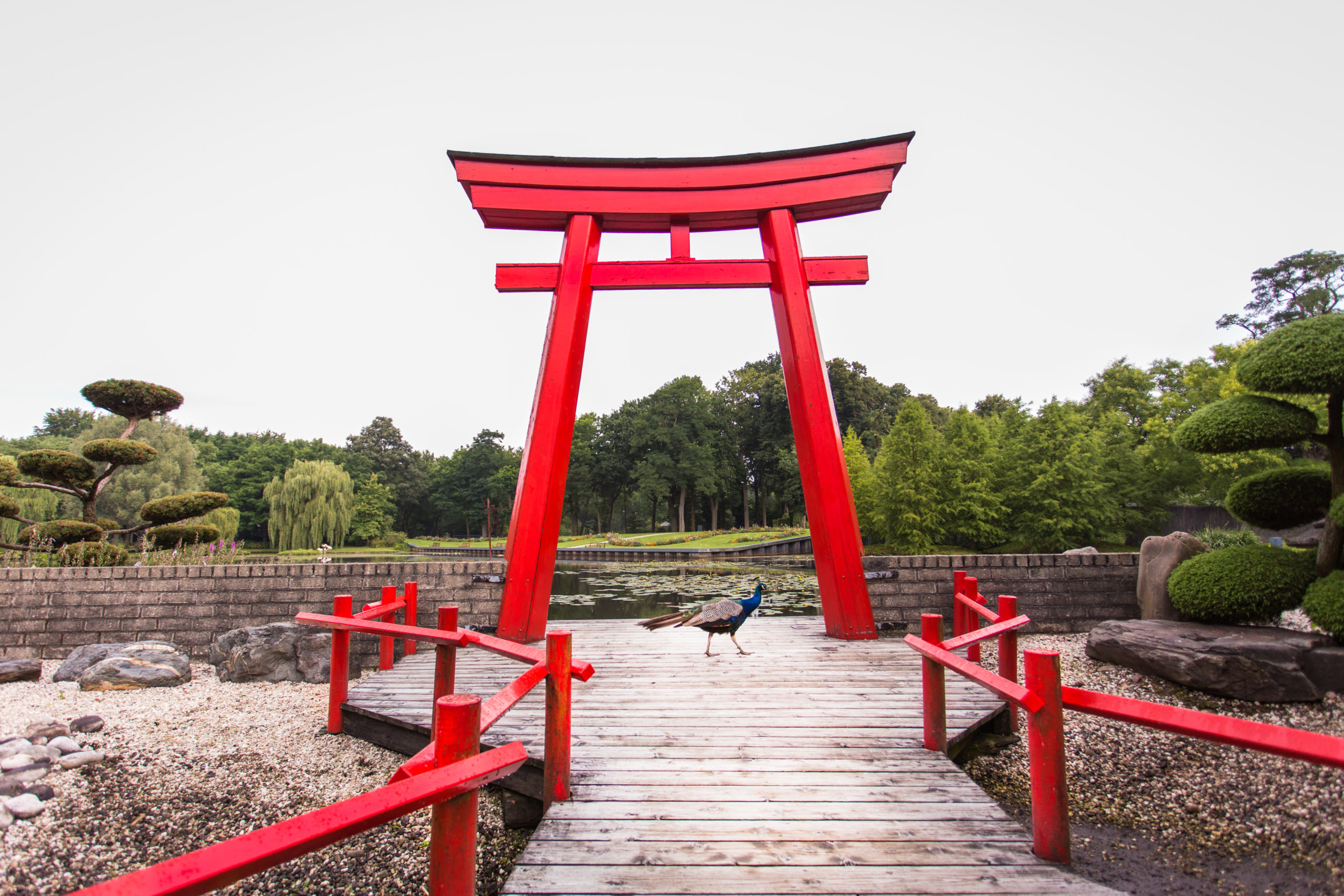 Japanischer Garten