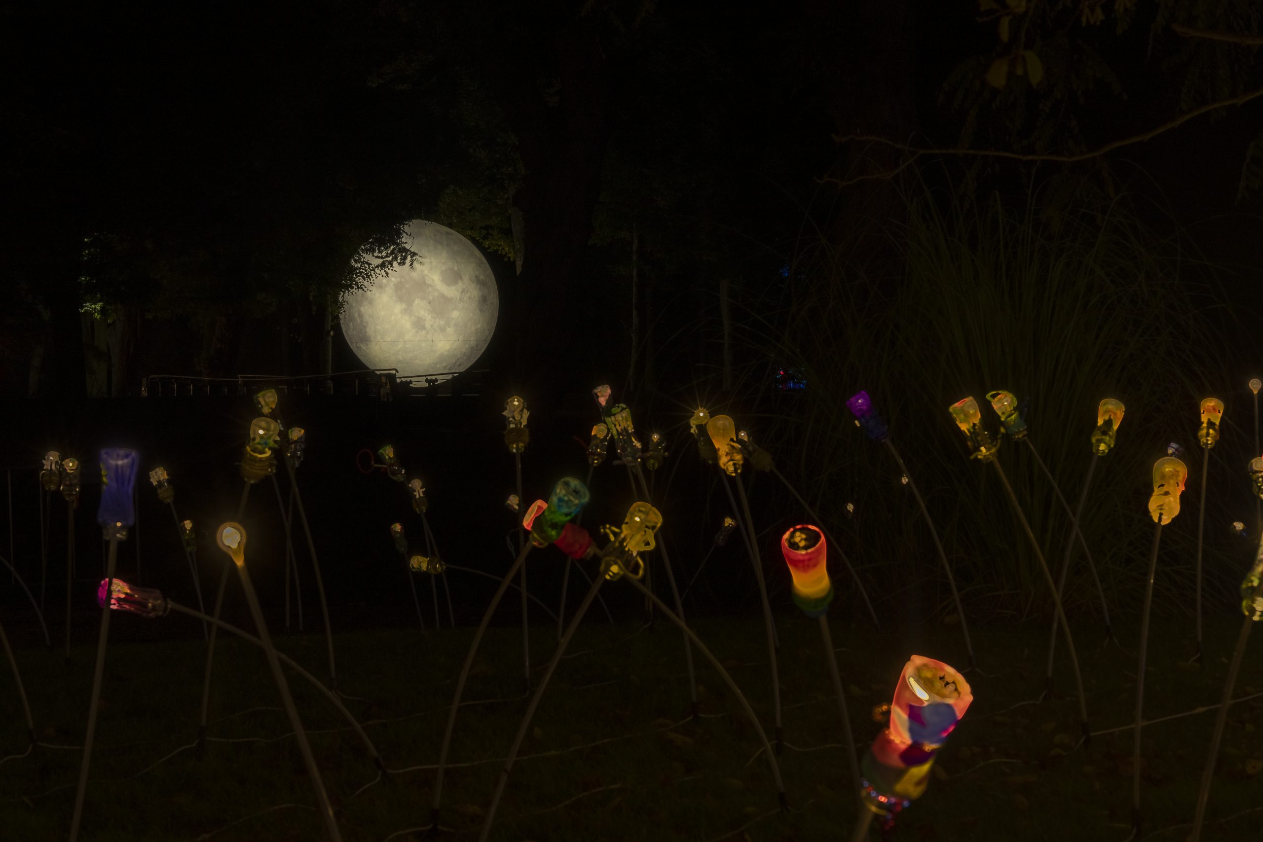 Enchanted Gardens