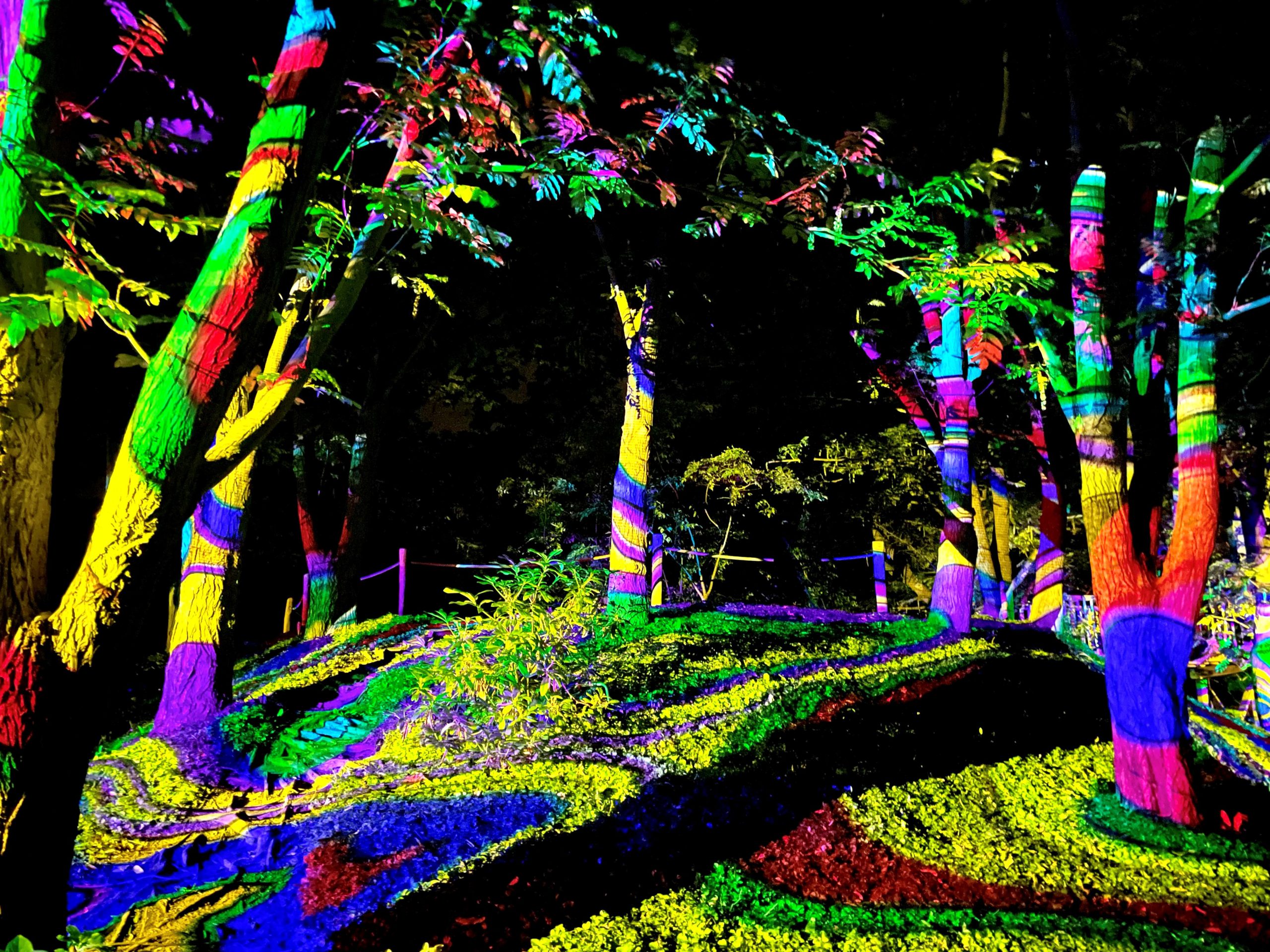 Lichtkunstfestival Enchanted Gardens