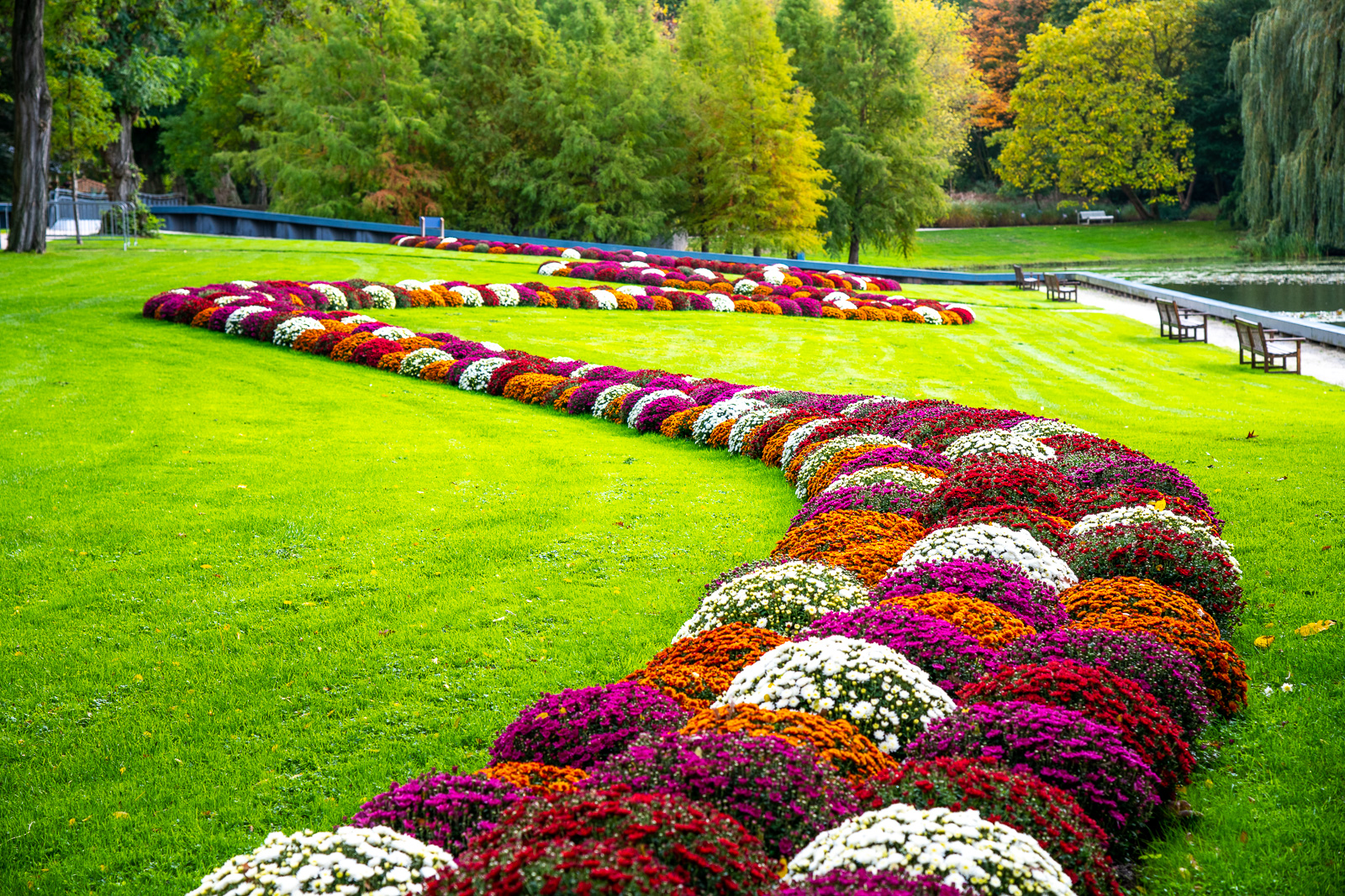 Gevaar fluweel dood Bloemenlint - Kasteeltuinen Arcen