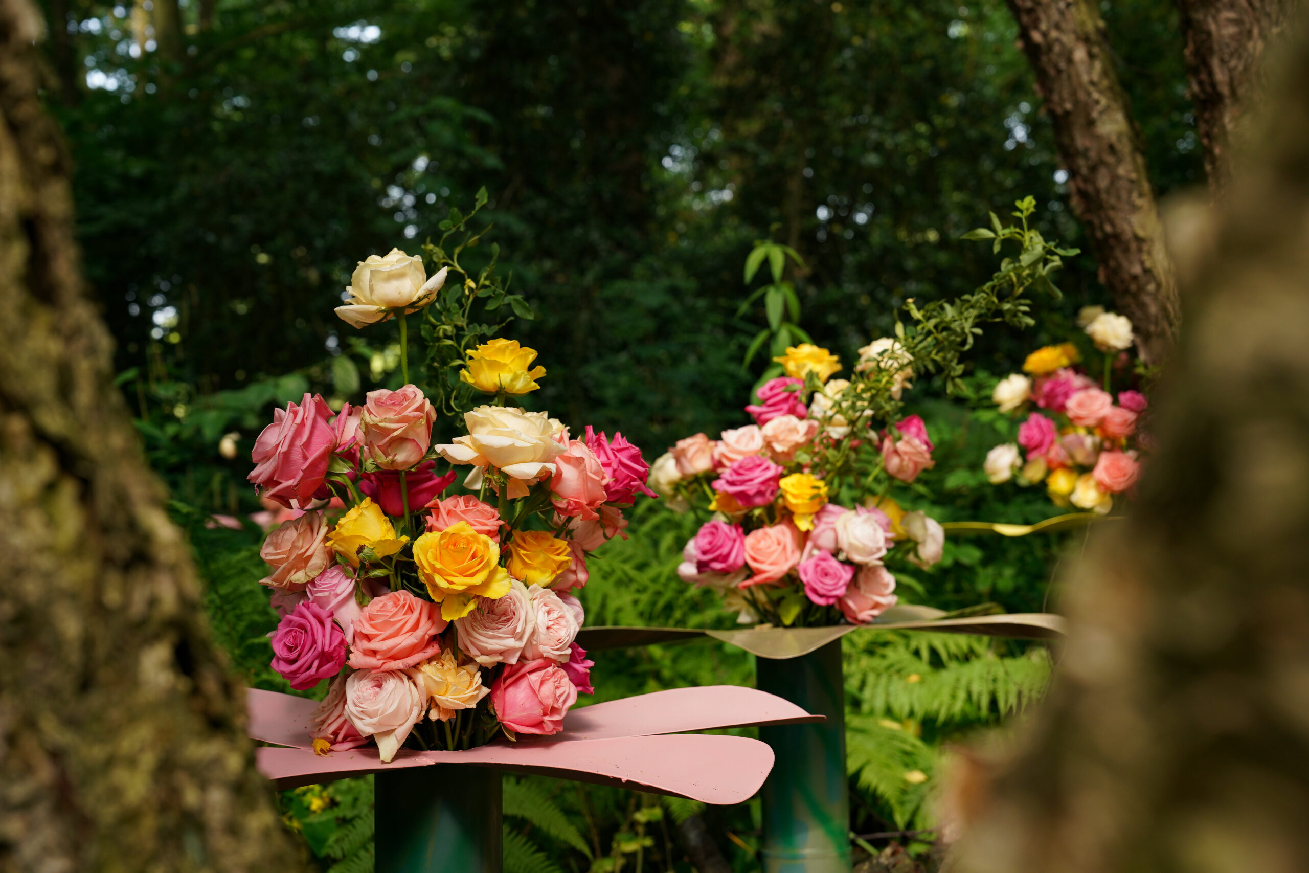 KasteeltuinenArcen_Rozenfestijn_2025_JoDaniëls (55)