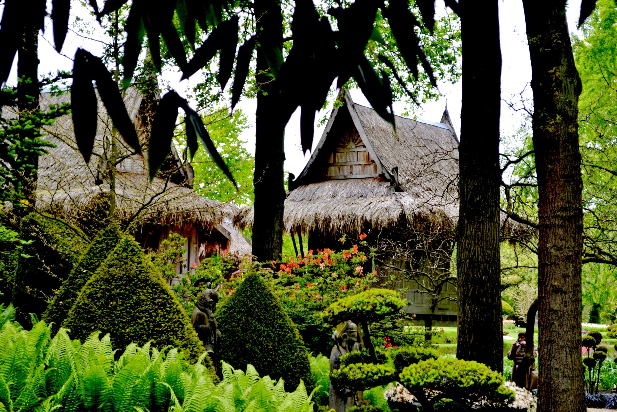 Video: Ein Blick in den Asiatischen Wassergarten