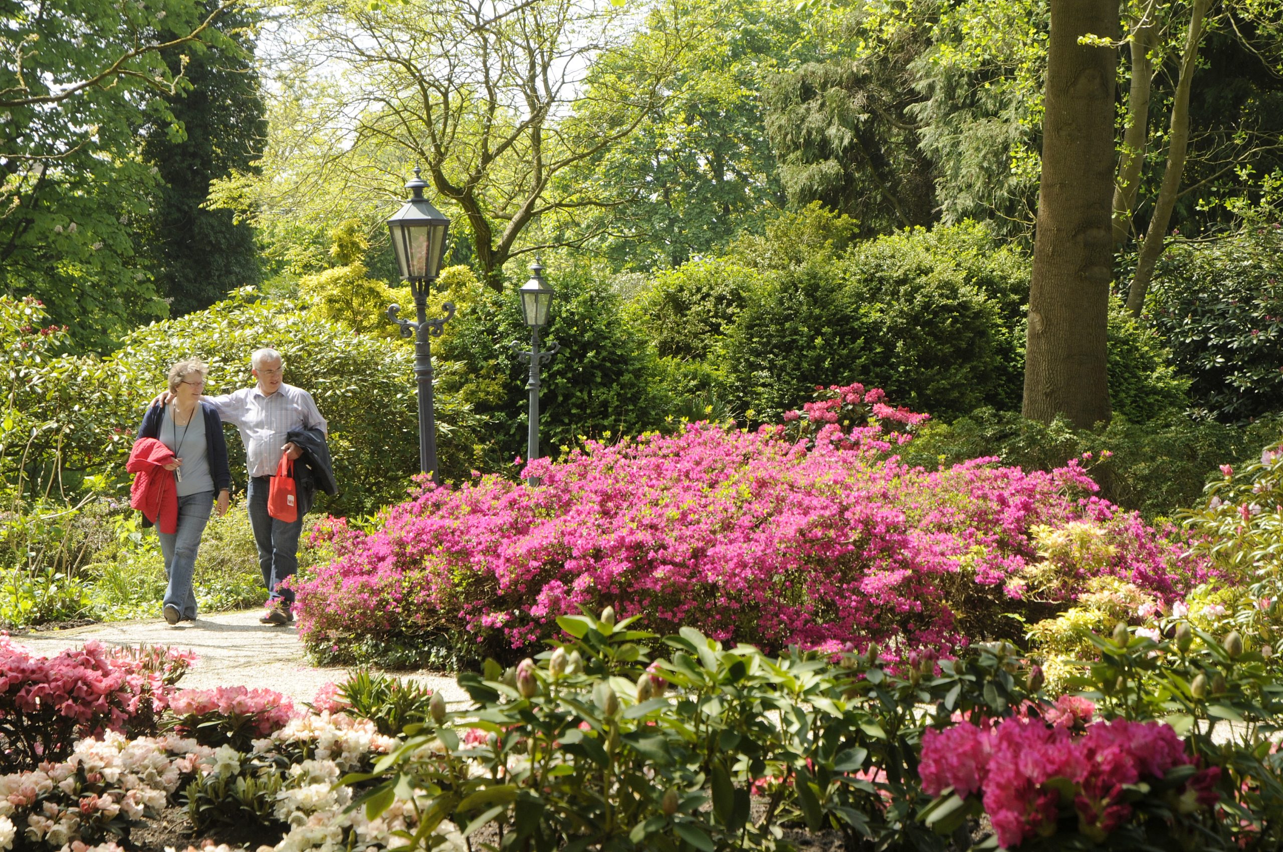 Rhododendrongarten