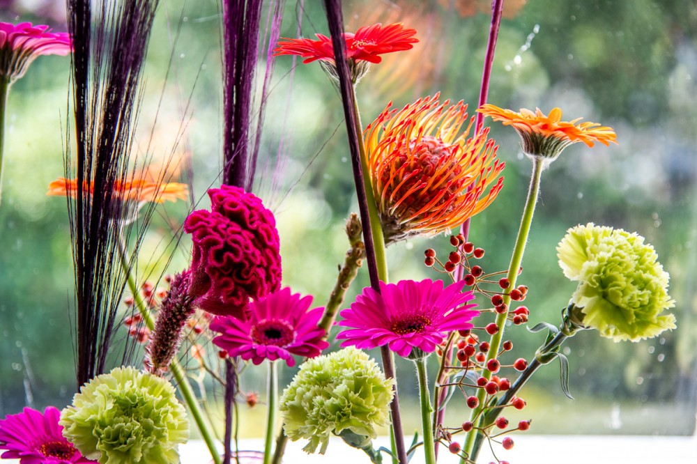 Blumen im Schloss (Bel-Etage)