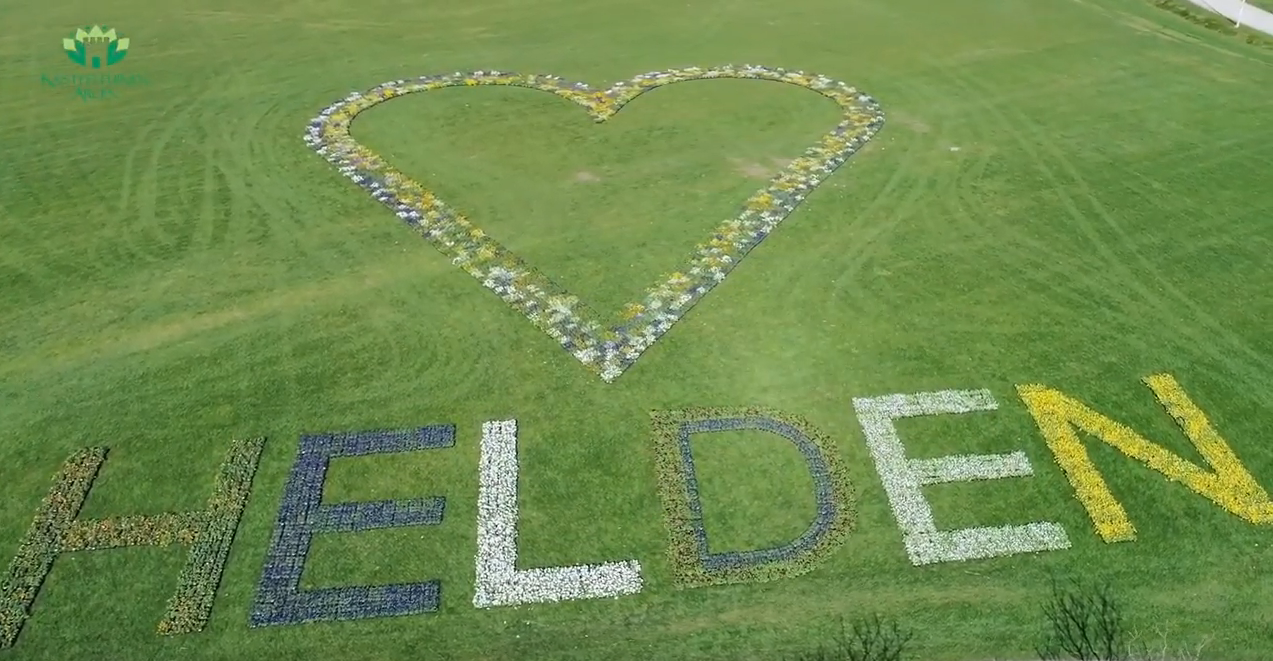 Video: Hart (van violen) onder de riem voor de helden die zorgen!