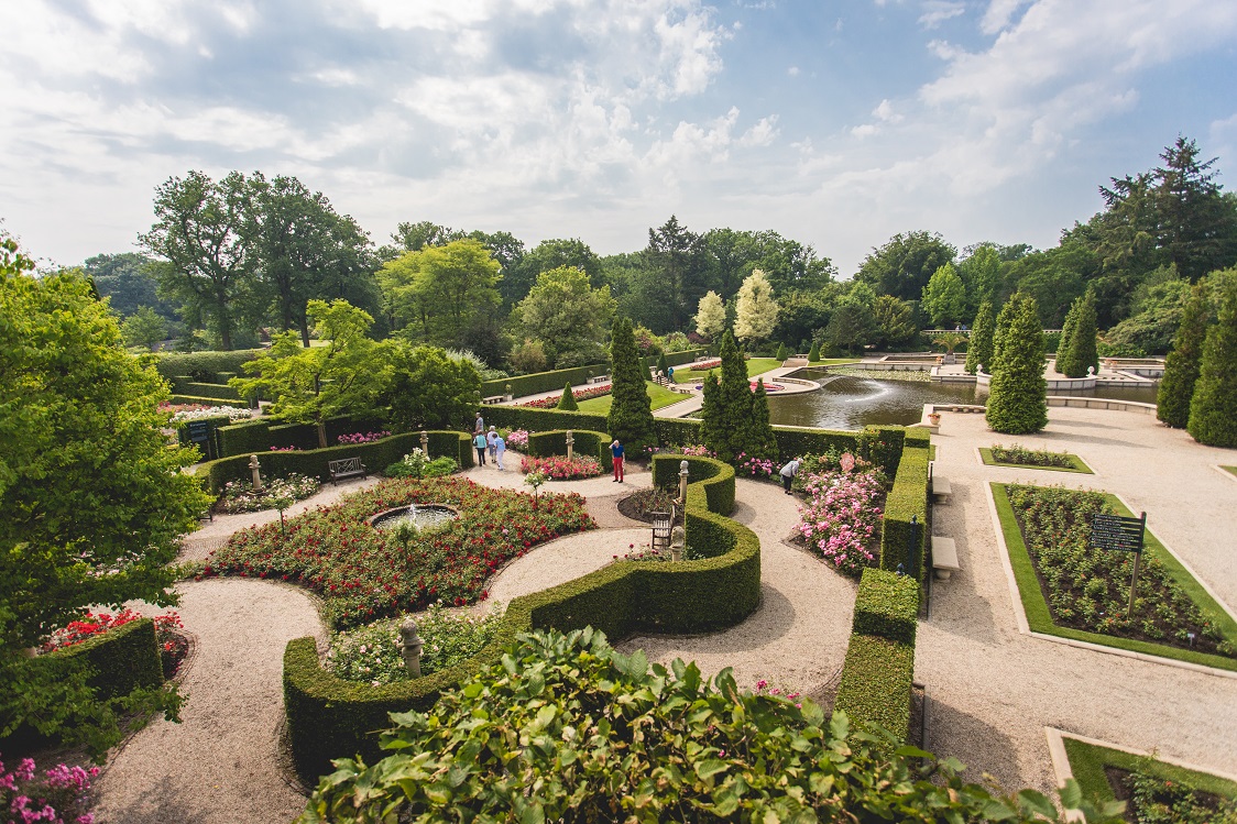 Rosenblüte in den Schlossgärten Arcen!