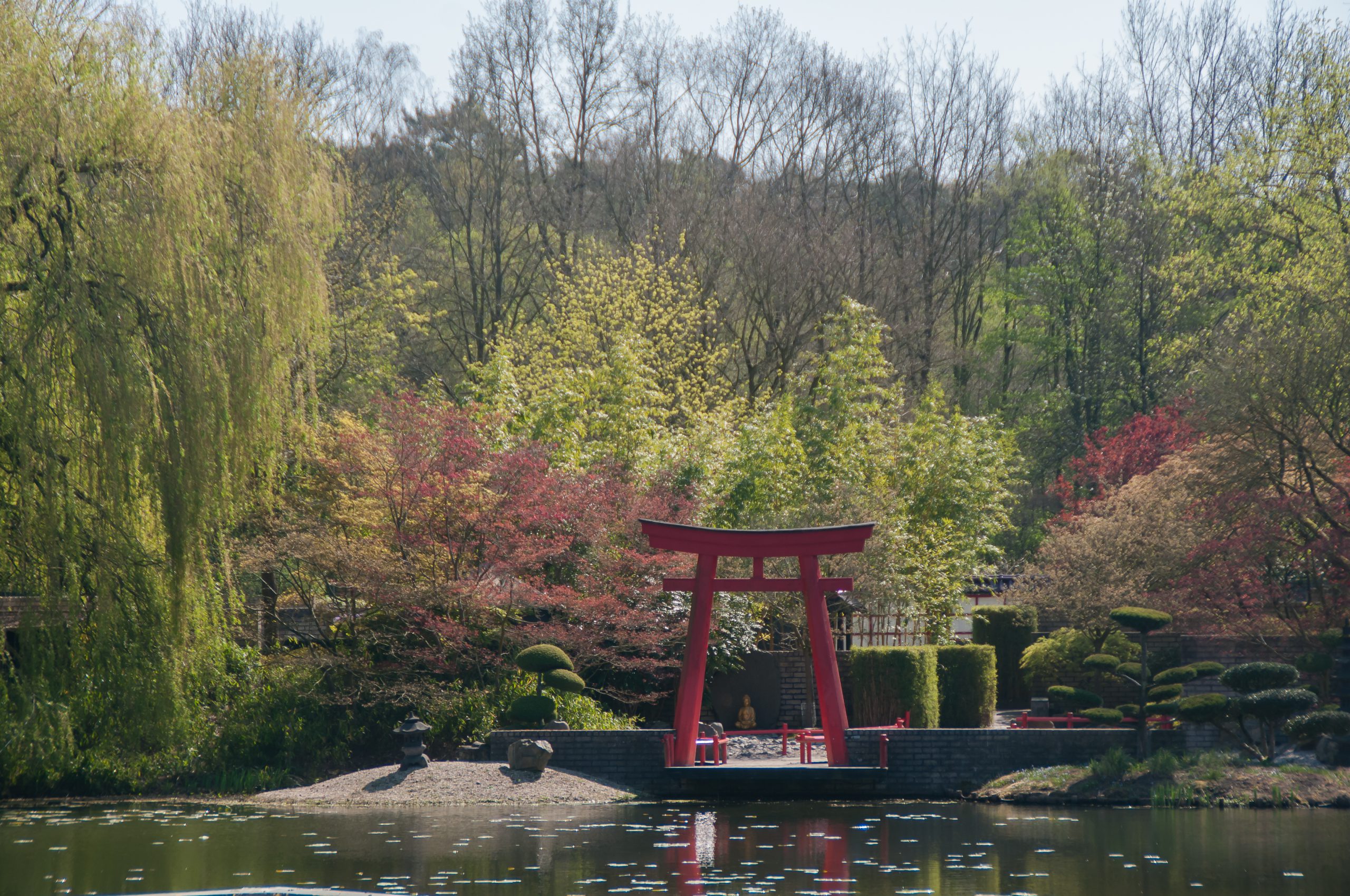 Aflevering 2 | Japanse Tuin - Video