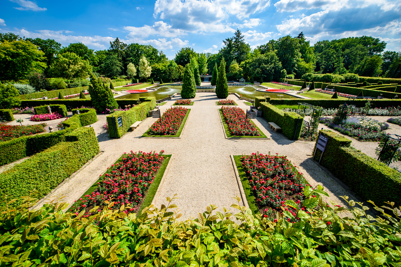 Französisches Flair im Rosarium 