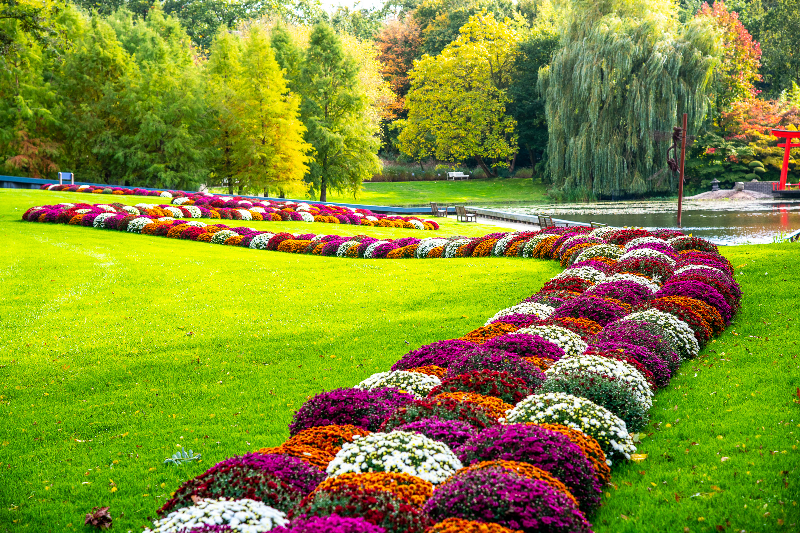 Farbenfrohe Gärten
