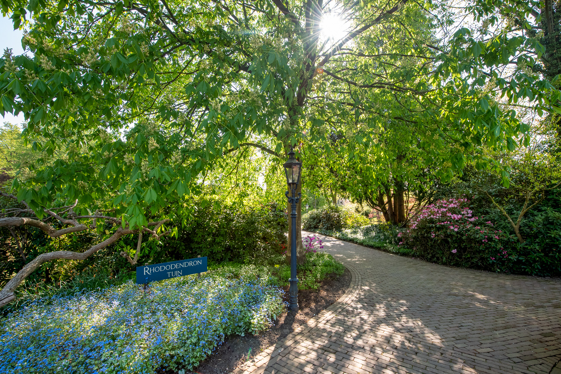 Kleur in je tuin - Video