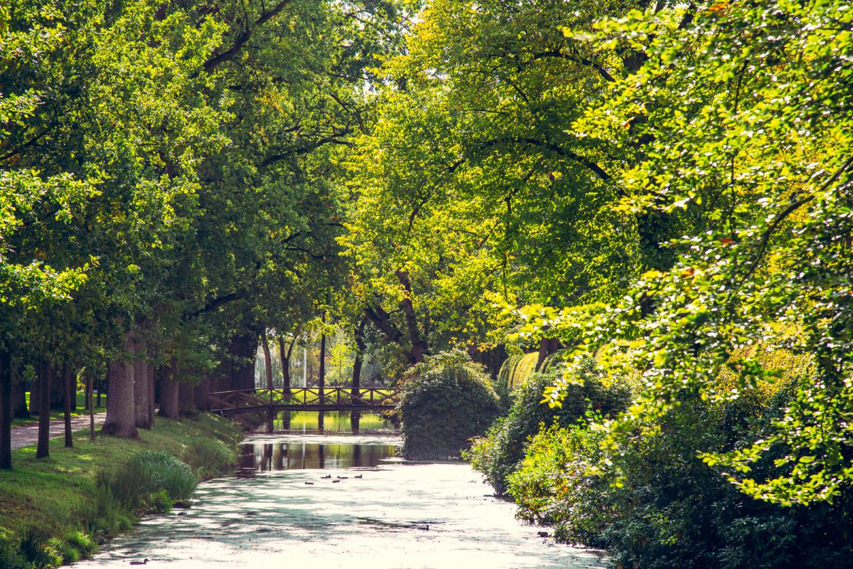 Tips tegen de herfstdip