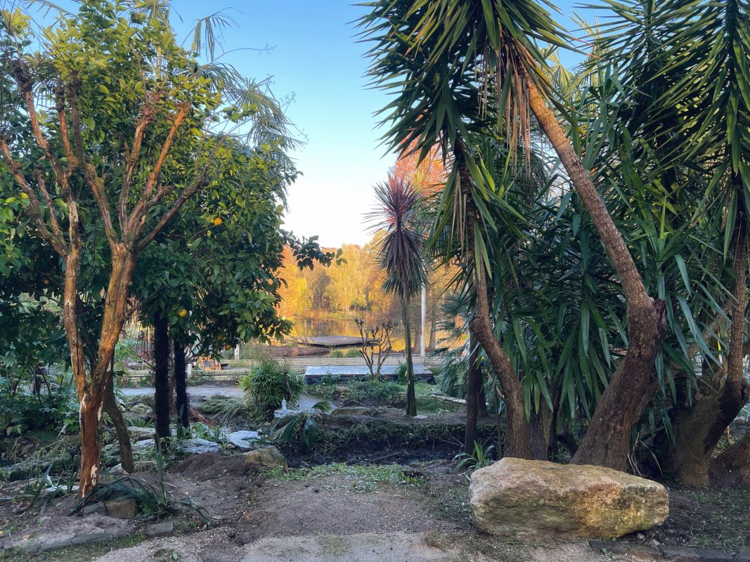 Casa Verde maakt plaats voor nieuwe mediterrane tuin