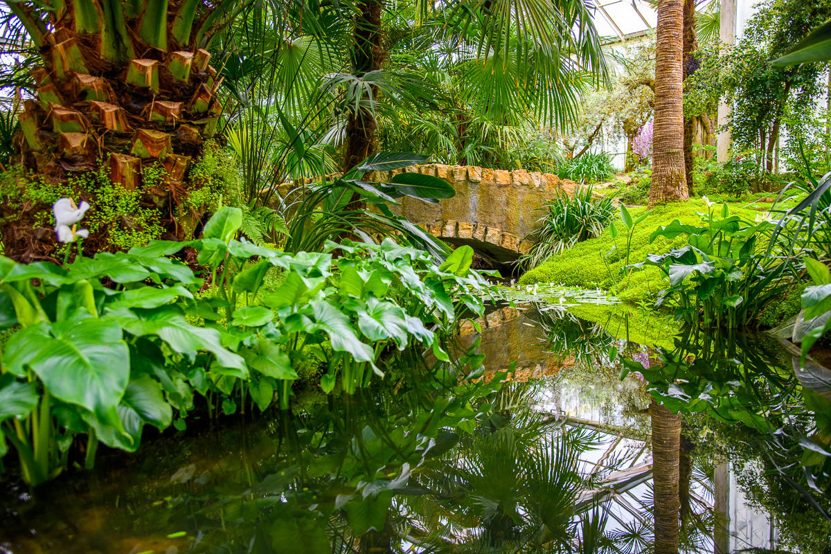 Mediterraner Garten