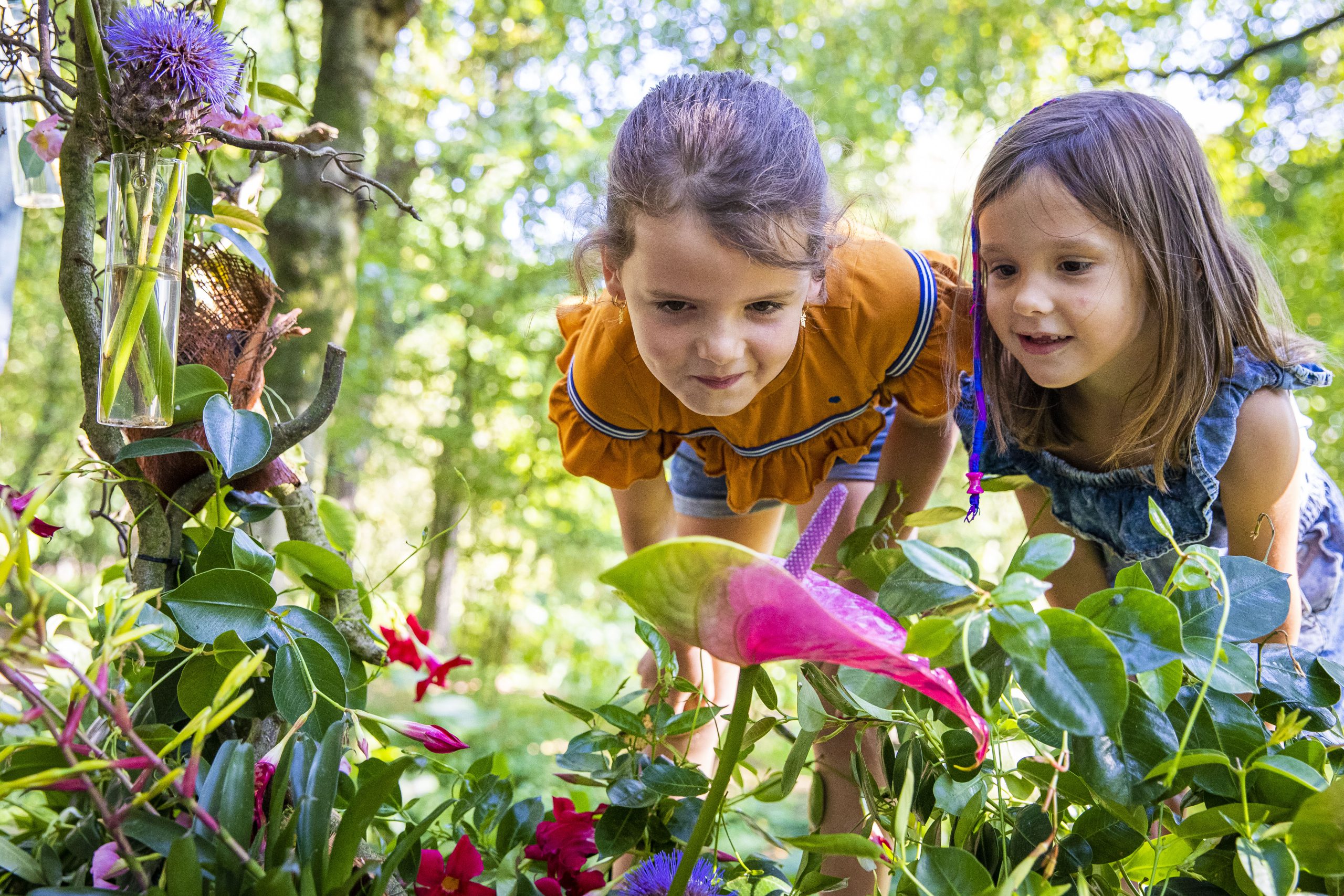 Gratis entree voor kinderen in de zomer