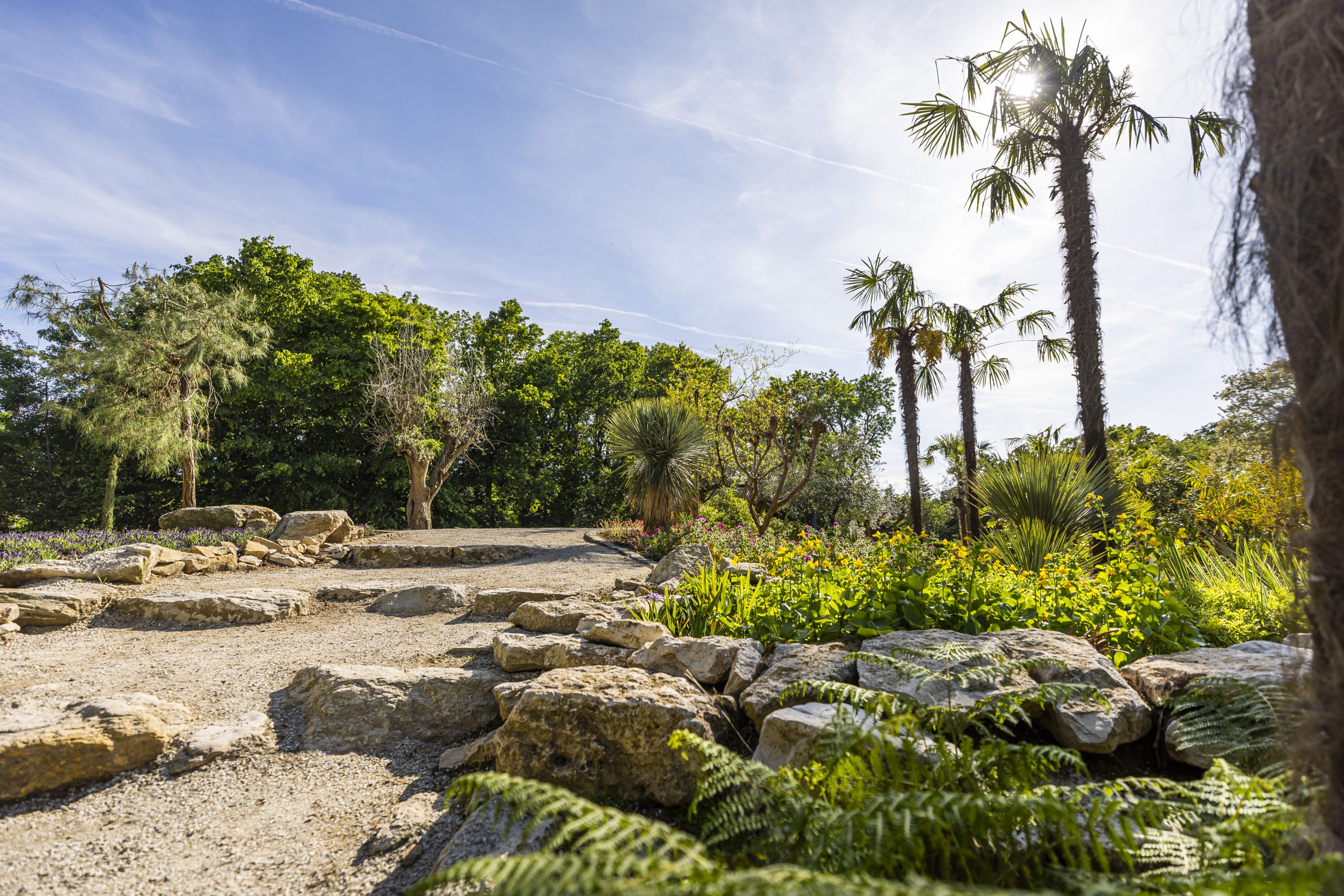 Mediterraner Garten