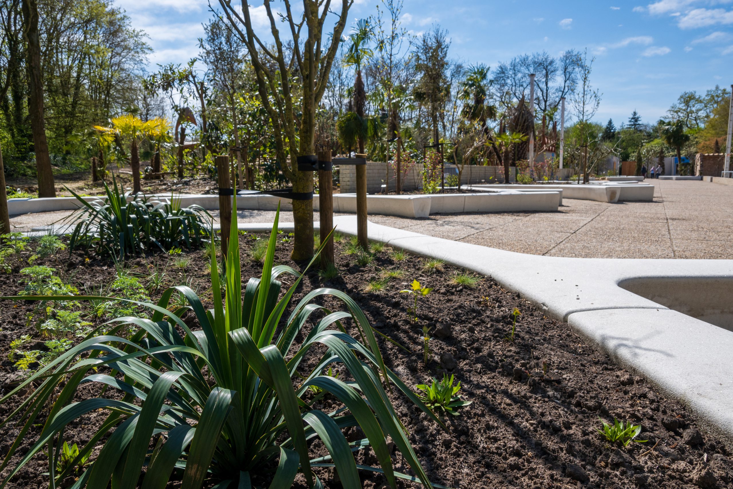 Aufbau der Plaza Verde und des Mediterranen Gartens - Video