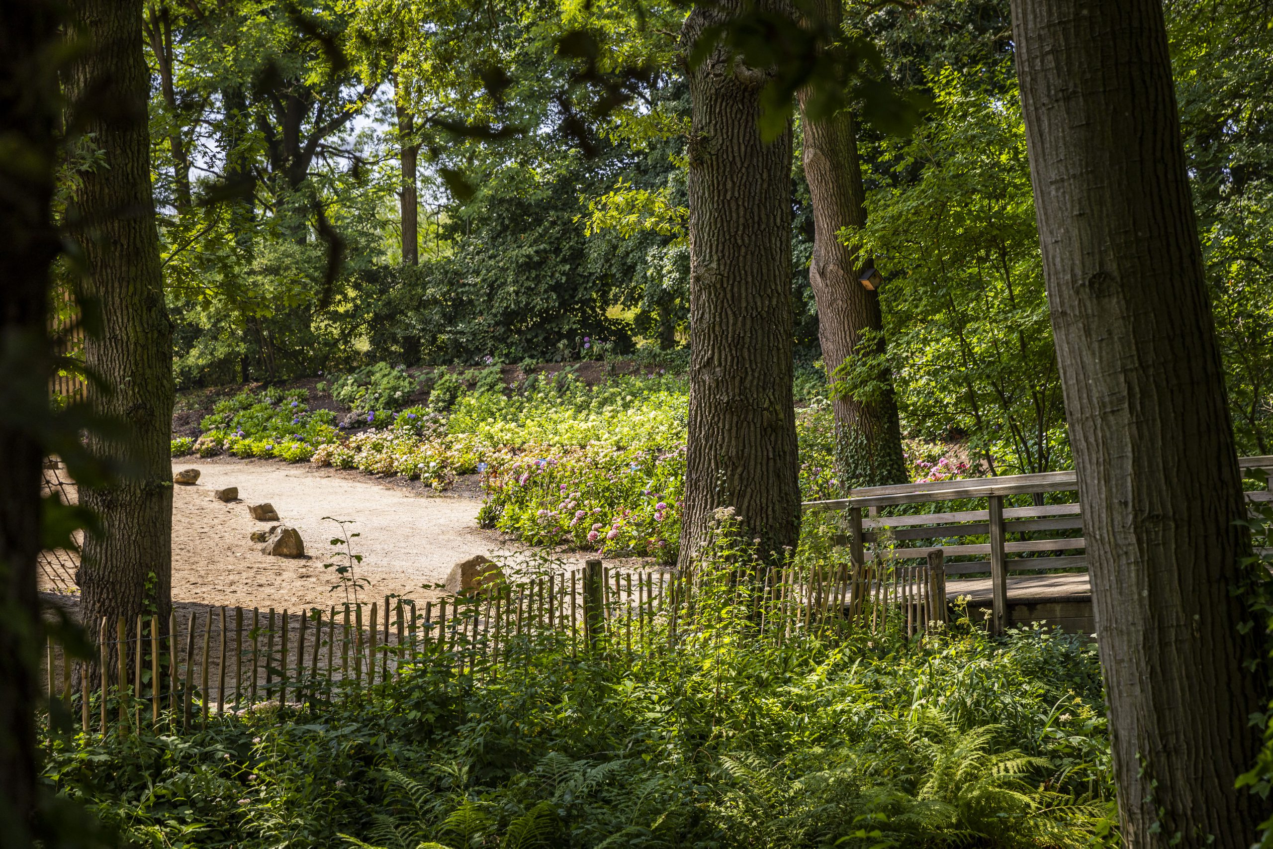 Bergtuin met minigolf