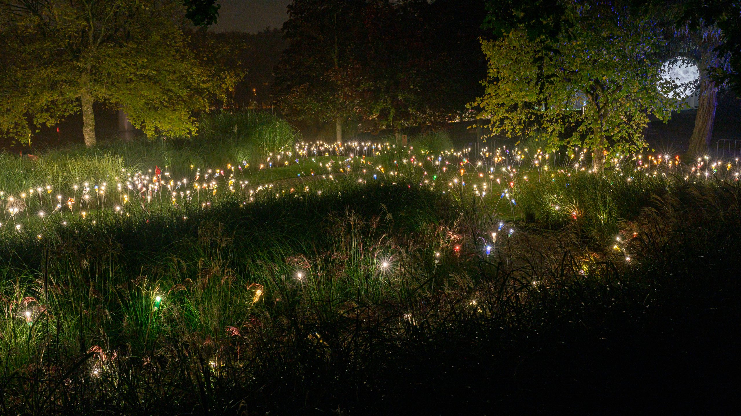 Herbstbasteln für das Lichtfestival Enchanted Gardens