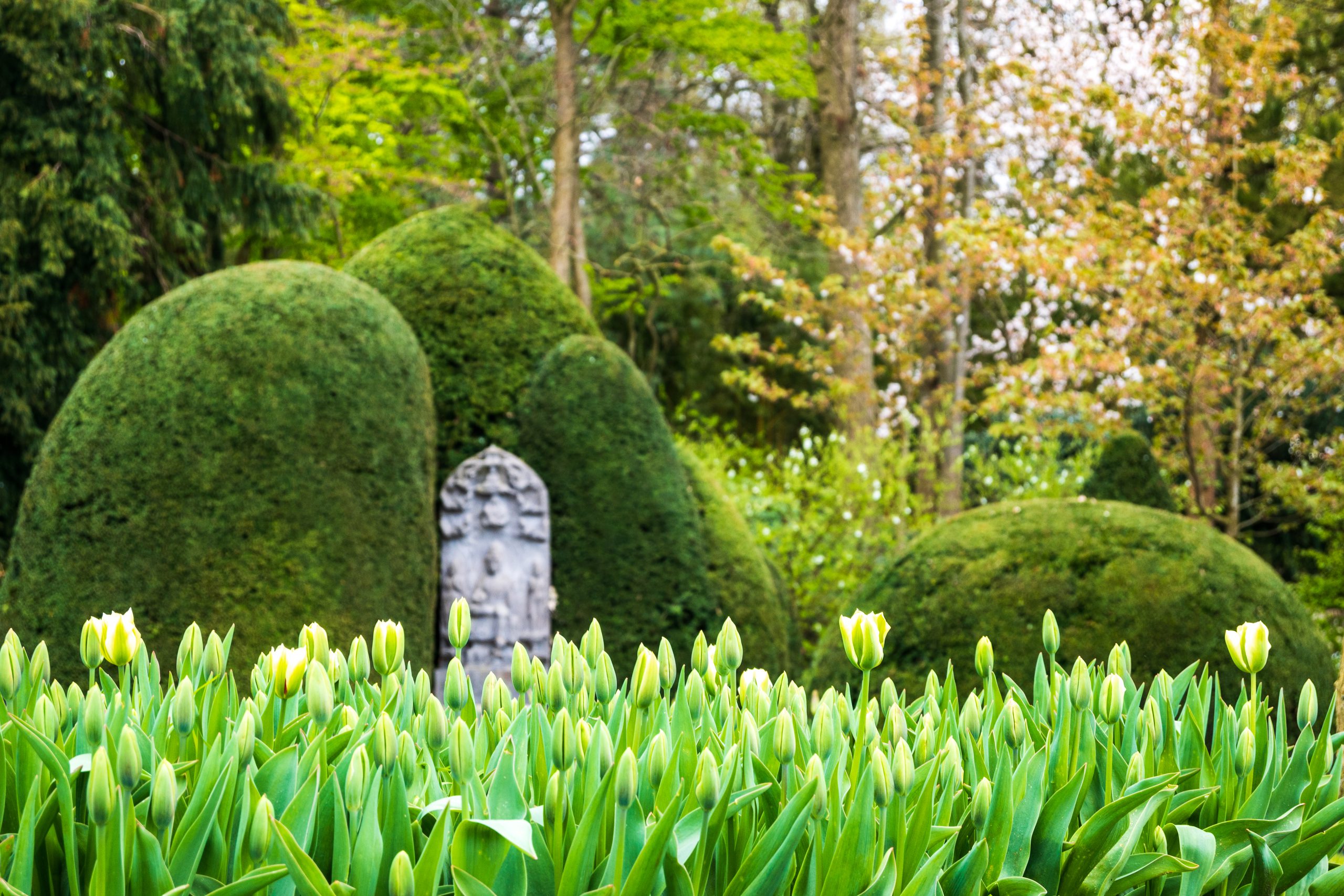 In den Schlossgärten Arcen blüht der Frühling!