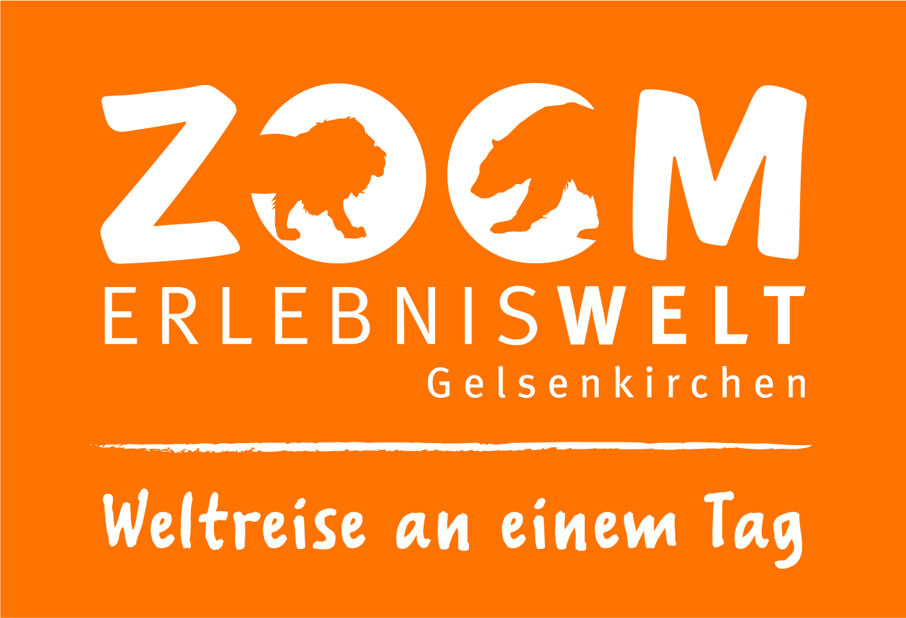 Bezoek de website