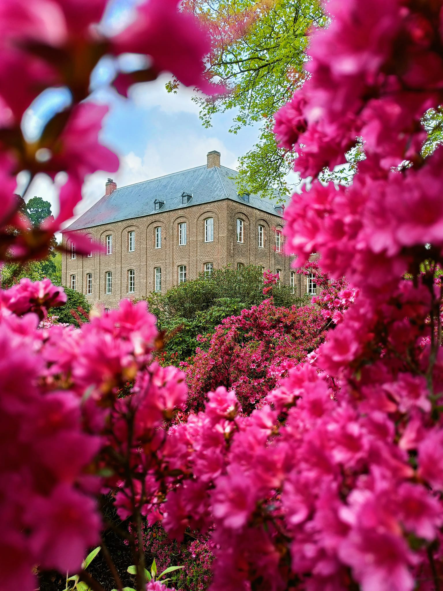 In den Schlossgärten Arcen blüht der Frühling!