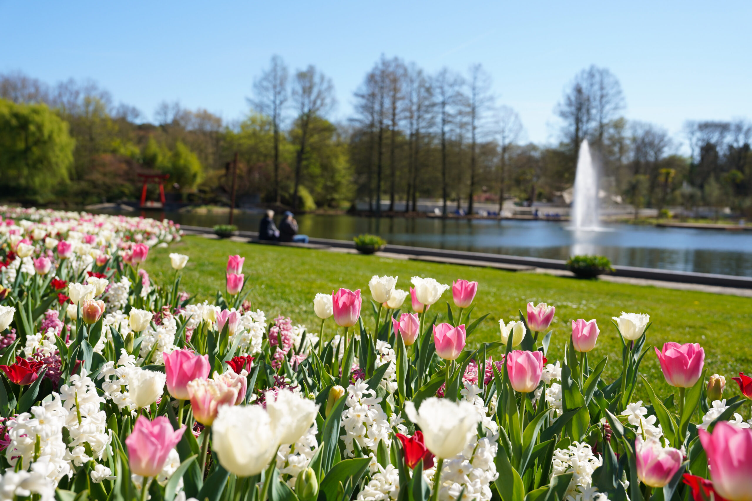 Bloemenlint