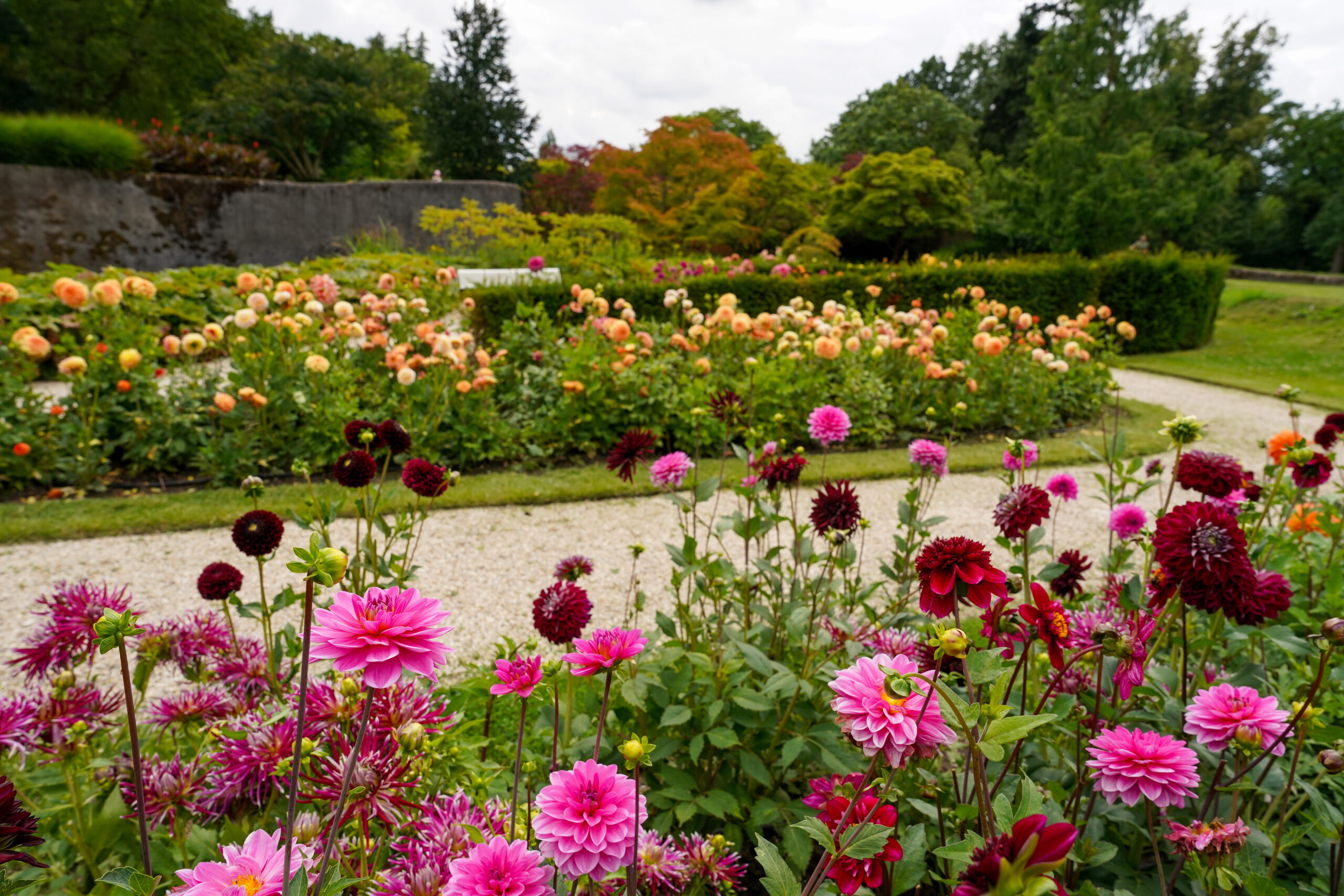 Ontdek de tuinen in Kasteeltuinen Arcen