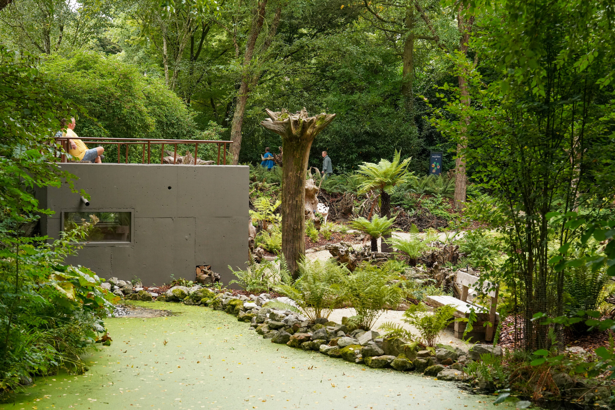 Ein Garten mit Geschichte: die Farnmanie des 19. Jahrhunderts