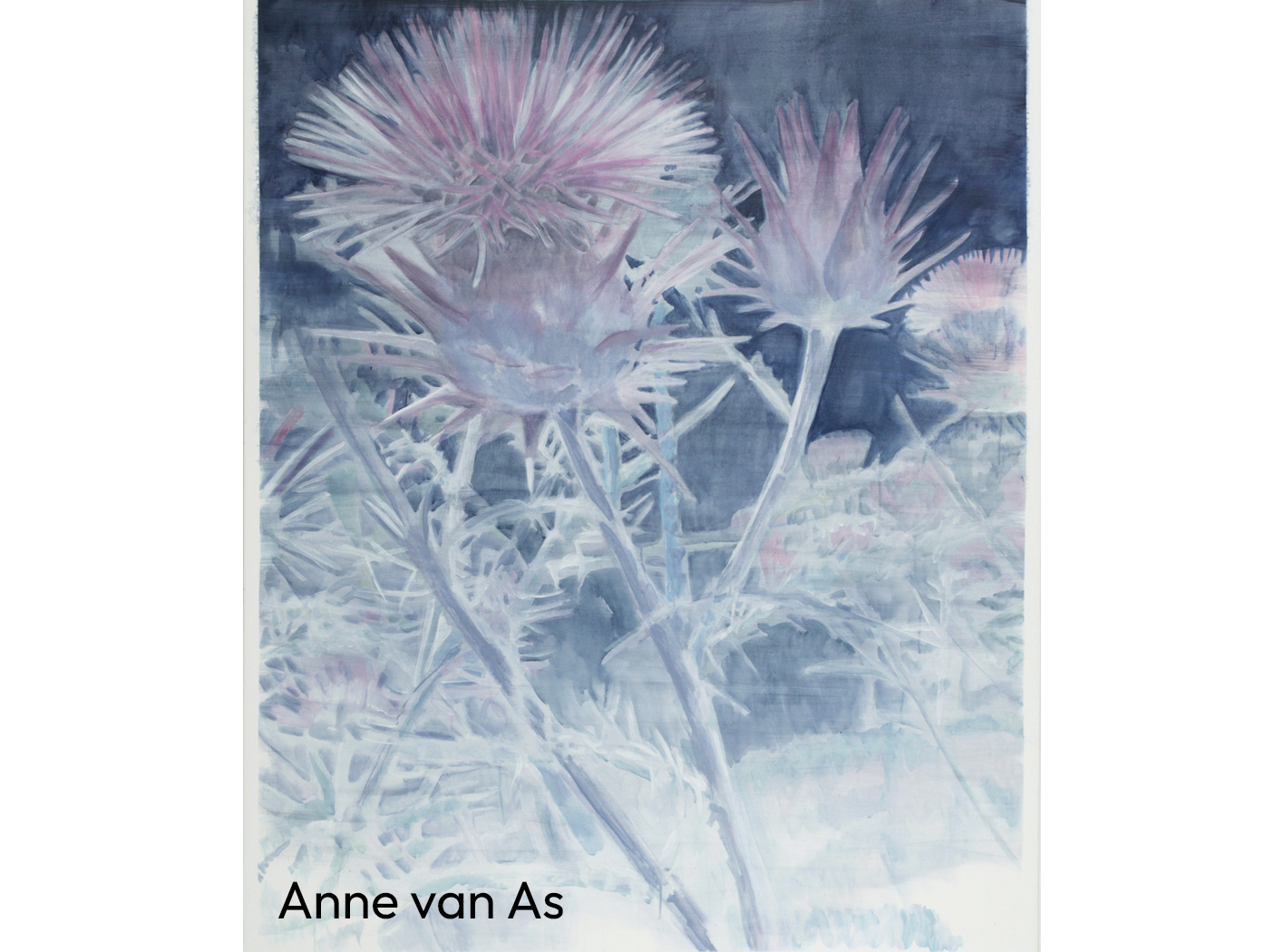 Anne van As - Thistle 150 x 120 cm acryl op linnen PNG